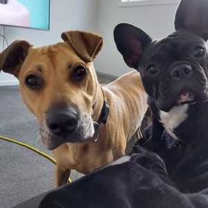 Meet your Posher, Christine